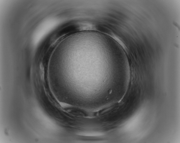 X0000097781151200803141802
