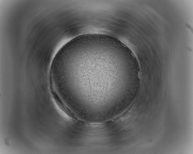 X0000097781152200803141802