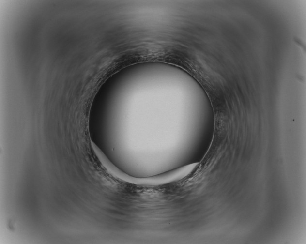 X0000097781153200803141801