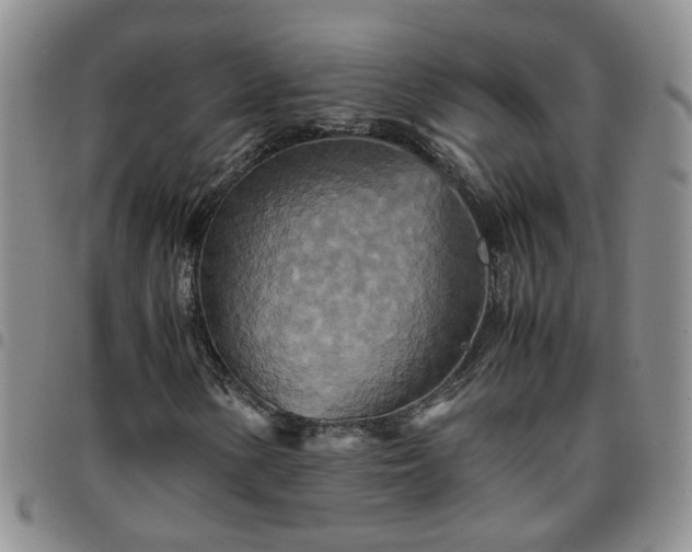 X0000097781154200803141801