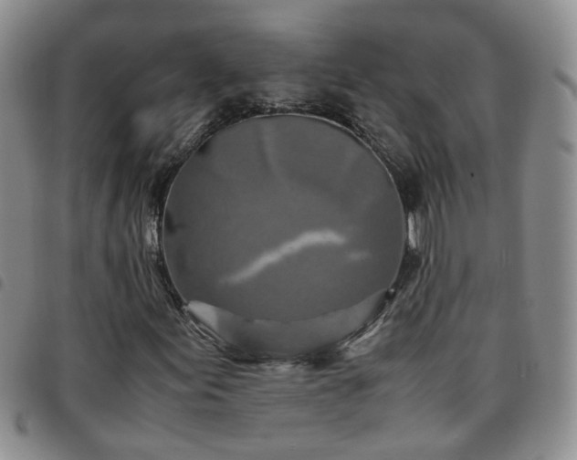 X0000097781155200803141801