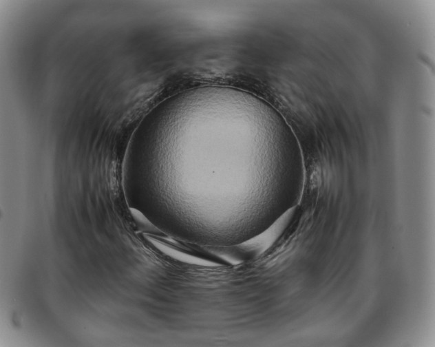 X0000097781156200803141801