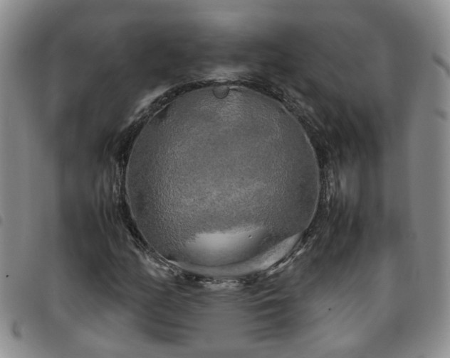 X0000097781158200803141801