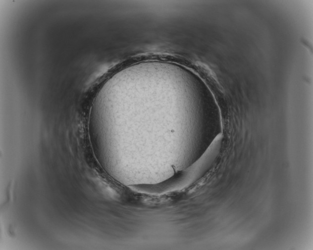 X0000097781159200803141801