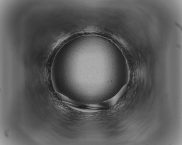 X0000097781160200803141801