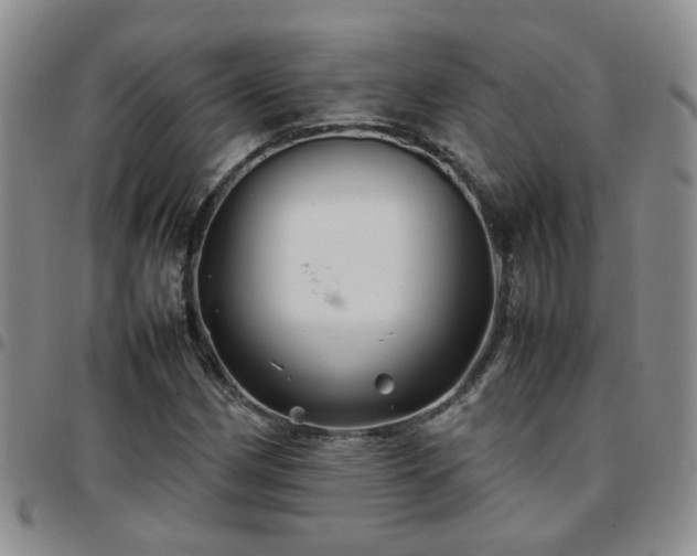 X0000097781162200803141801