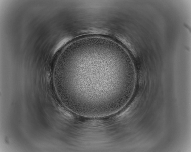 X0000097781163200803141801