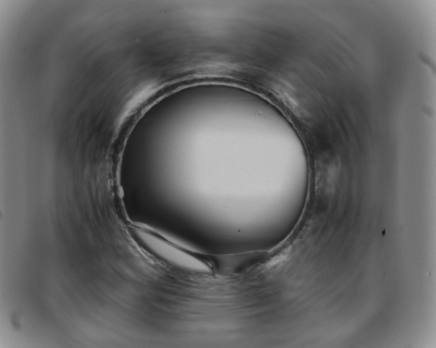 X0000097781164200803141801