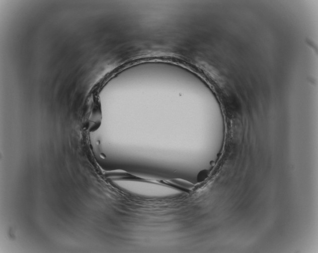X0000097781165200803141801
