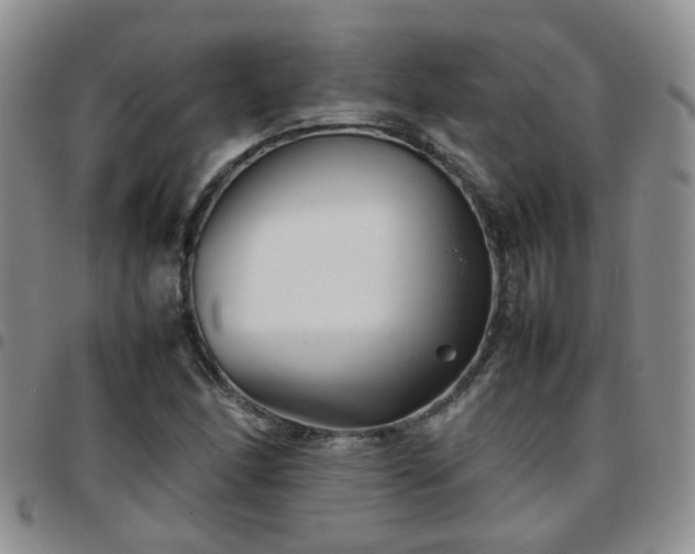 X0000097781166200803141801
