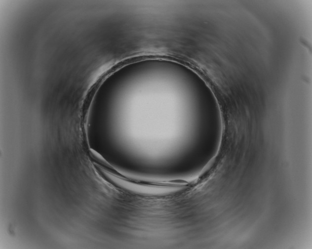 X0000097781168200803141801