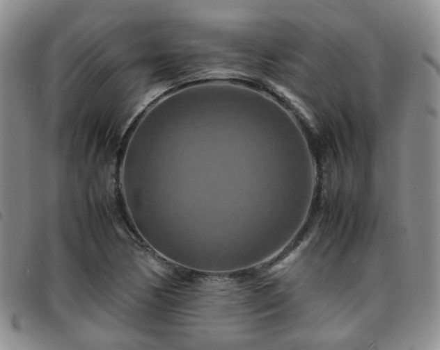 X0000097781170200803141801