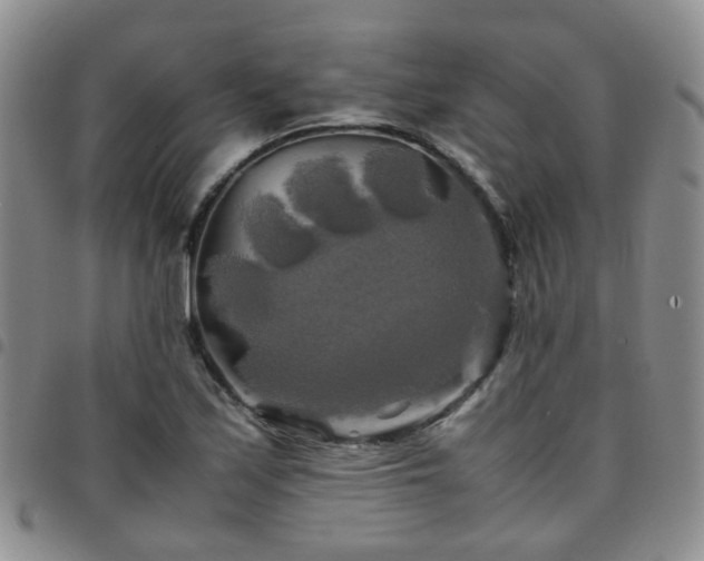 X0000097781171200803141801