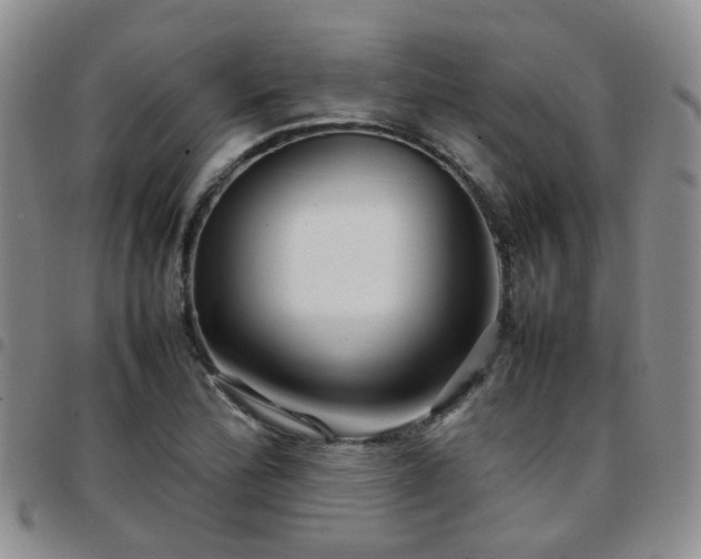 X0000097781172200803141801