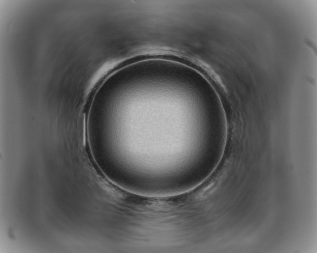 X0000097781175200803141801