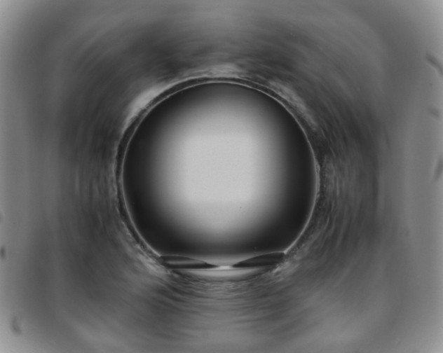 X0000097781176200803141801