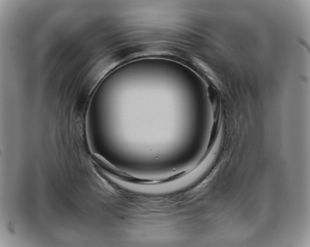 X0000097781177200803141801