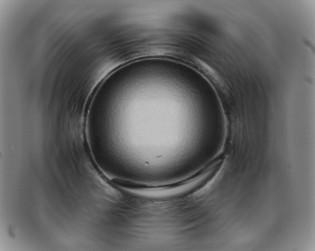 X0000097781178200803141801