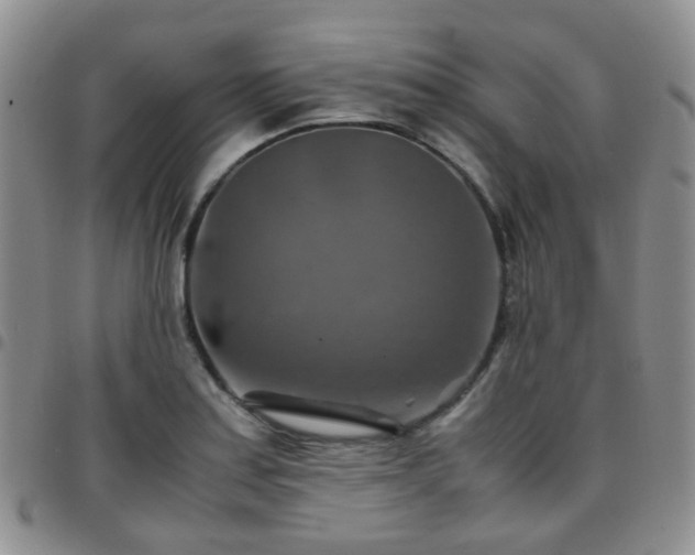 X0000097781179200803141801