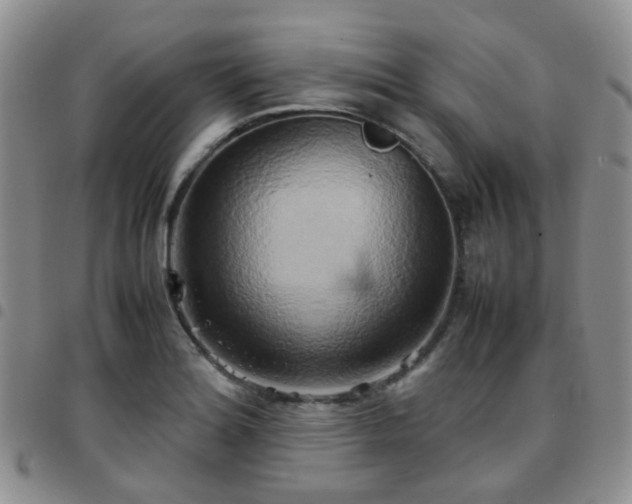 X0000097781180200803141801