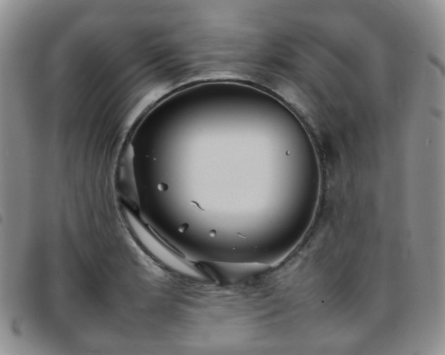 X0000097781181200803141801