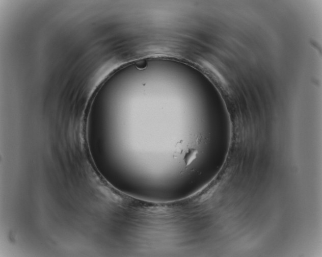 X0000097781182200803141801