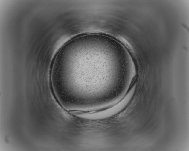 X0000097781183200803141801