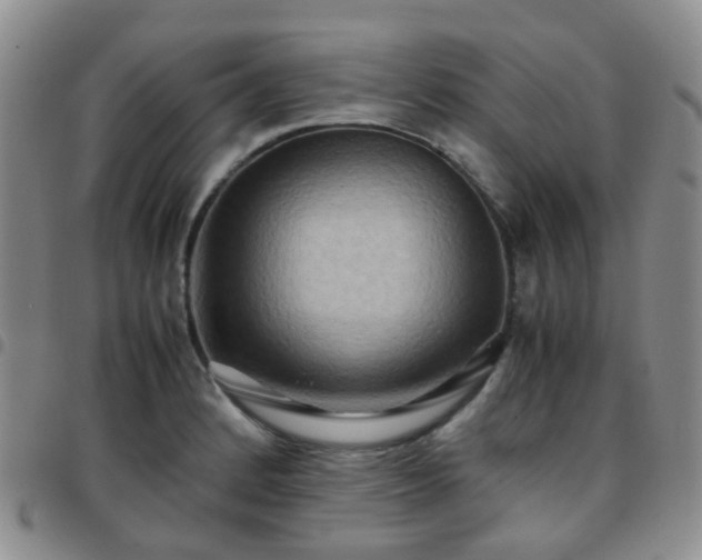 X0000097781184200803141801