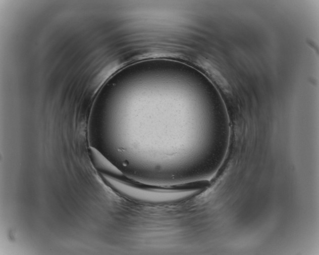 X0000097781185200803141801