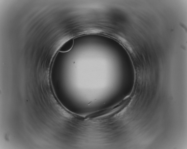 X0000097781186200803141801