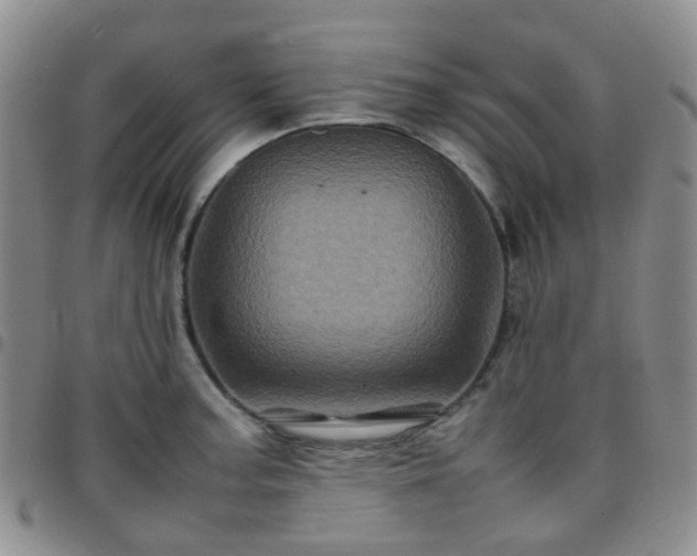 X0000097781187200803141801