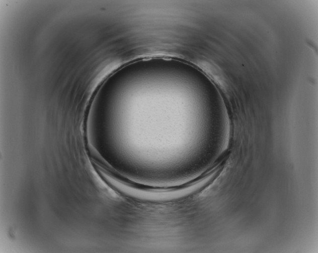 X0000097781189200803141801