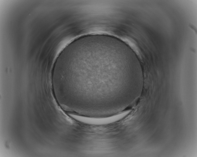 X0000097781191200803141800