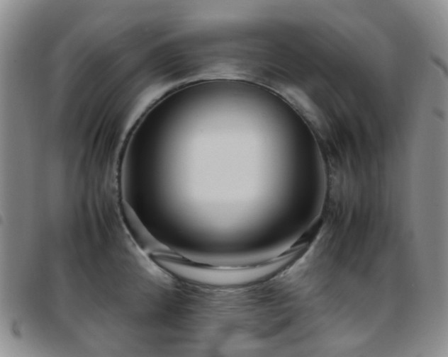 X0000097781192200803141800