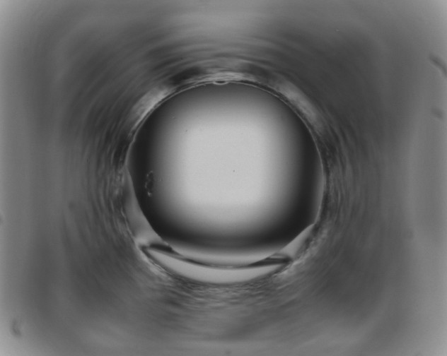X0000097781193200803141800