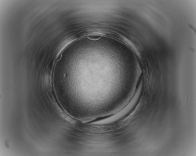 X0000097781194200803141800