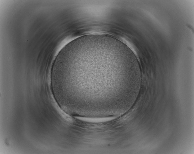 X0000097781195200803141800