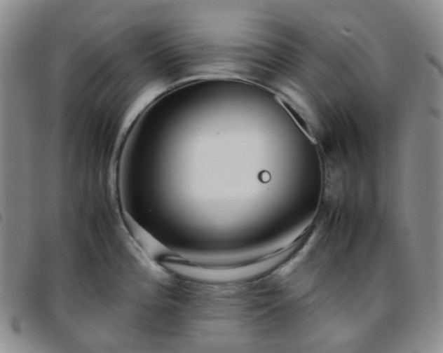 X0000097781196200803141800