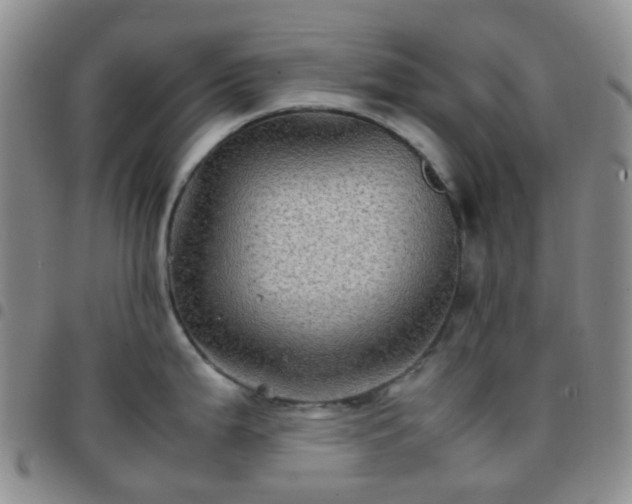 X0000097781199200803141800