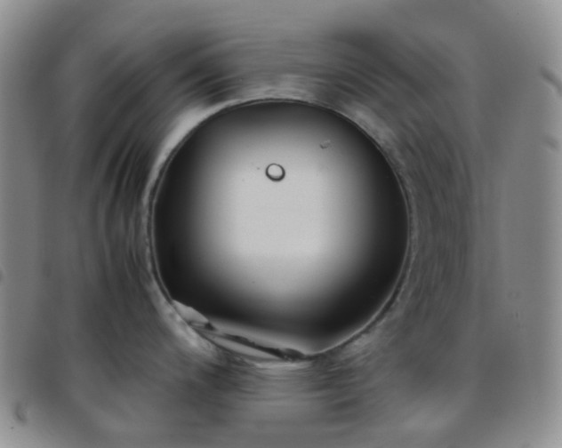 X0000097781200200803141800