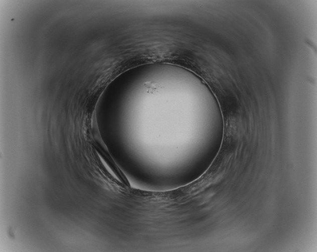 X0000097781202200803141759