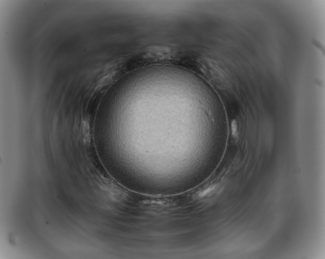 X0000097781203200803141759