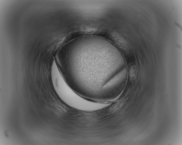 X0000097781204200803141759