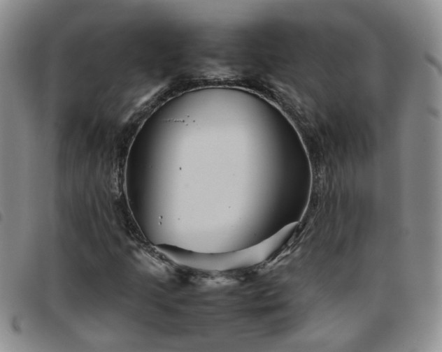 X0000097781205200803141800
