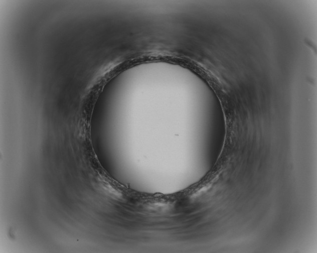 X0000097781207200803141800