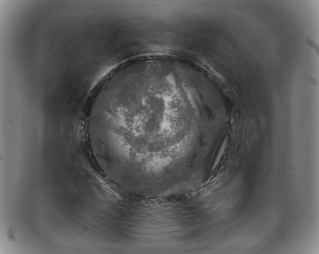 X0000097781208200803141800