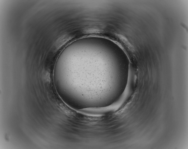X0000097781209200803141800