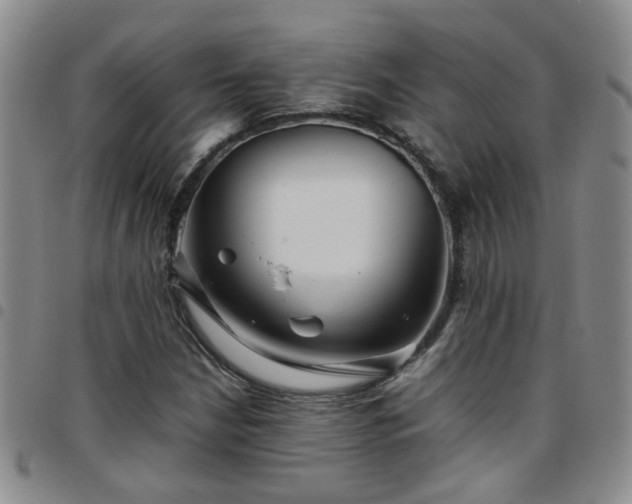 X0000097781210200803141800