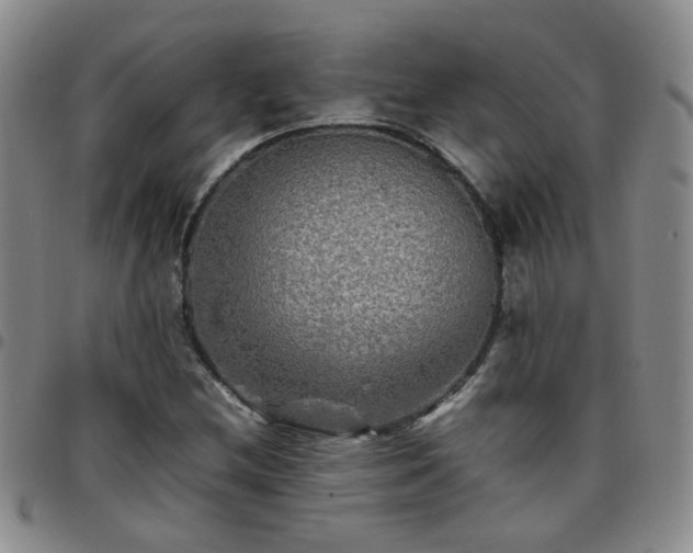 X0000097781212200803141800