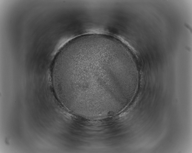 X0000097781215200803141800